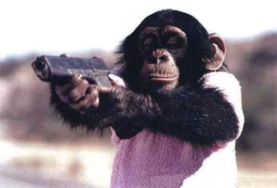 image: monkey-gun